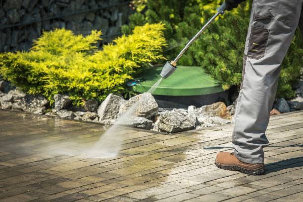 Best Warehouse Cleaning  in Nanakuli, HI